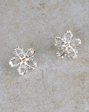 Floral Pattern Multi Faceted Crystal Earrings