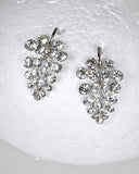 Rhinestone Drop Stud Earrings